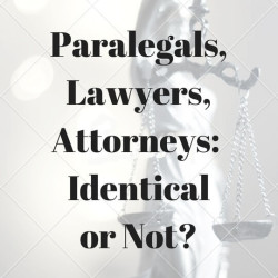 Paralegal Feature