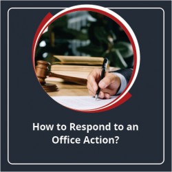 How to Respond to an Office Action?