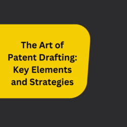Art of Patent Drafting