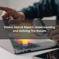 Patent Search Report